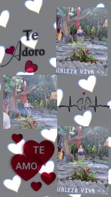 @guadalupecardenas