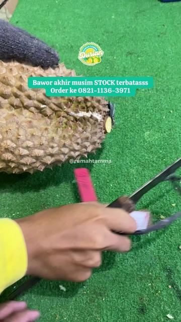 @Rumah Tamma Durian