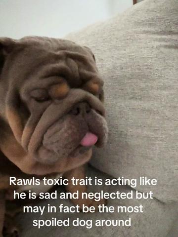 @RawlsTheBulldog