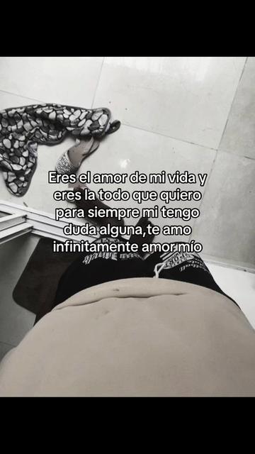 @Moquito 🦟👣
