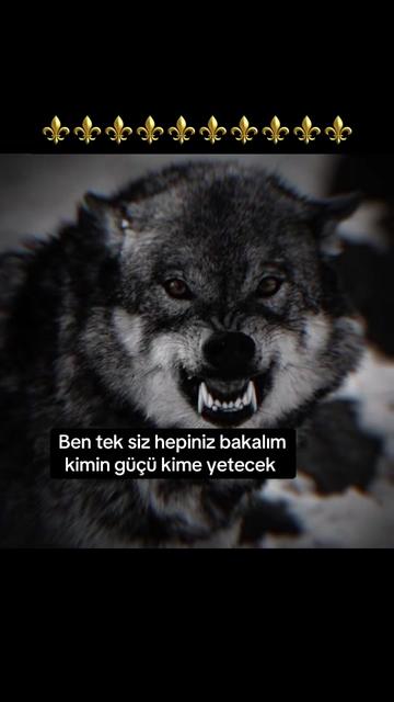 @çılgın 🚴♂️🇹🇷🫡