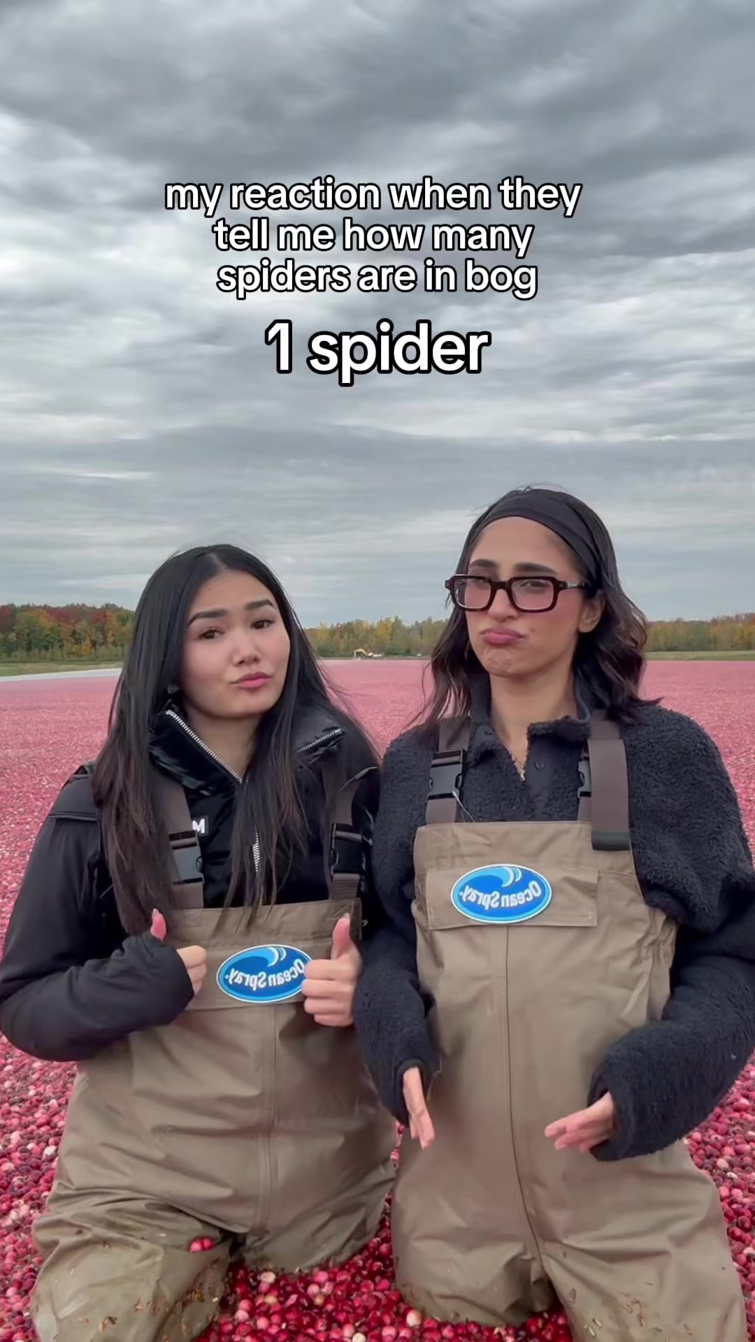 @helen li