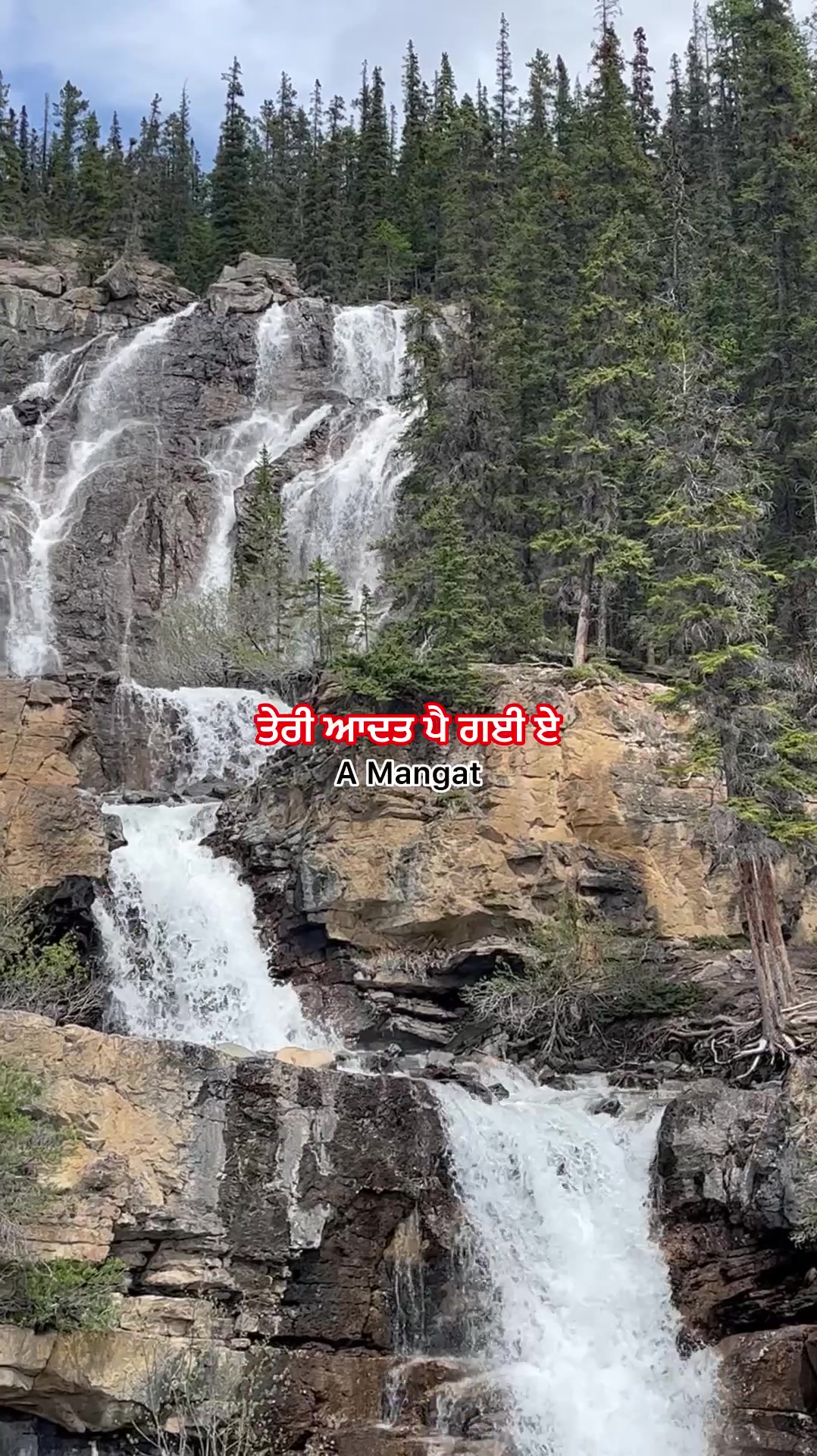 @A Mangat