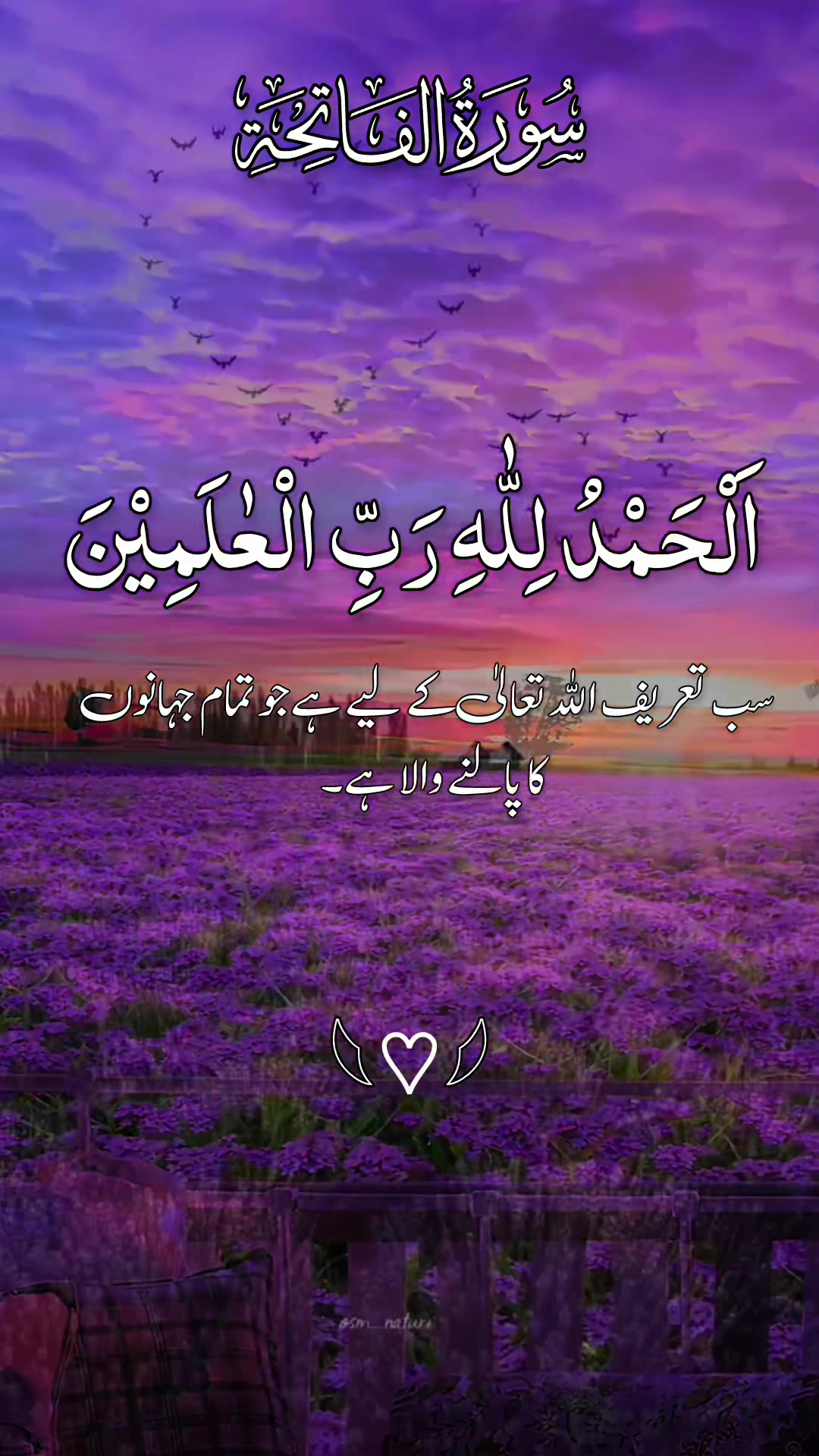 @❣️ Words of Allah ❣️