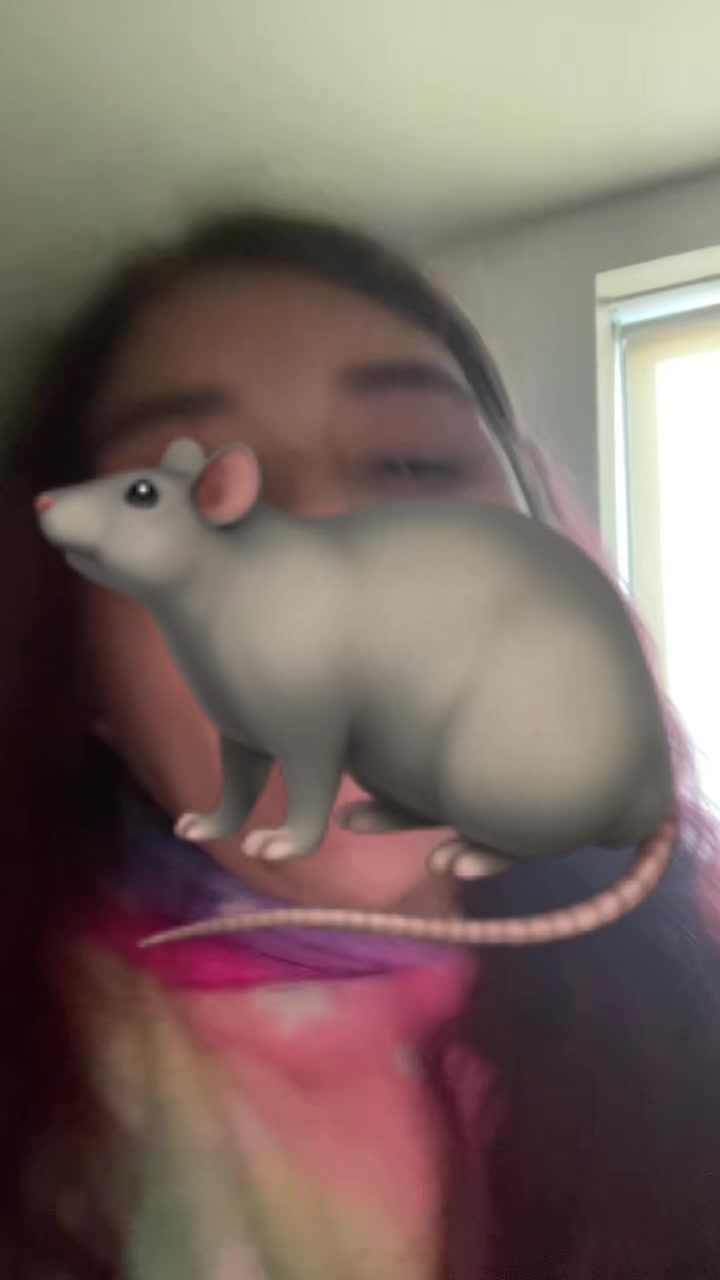 @LilHedghog