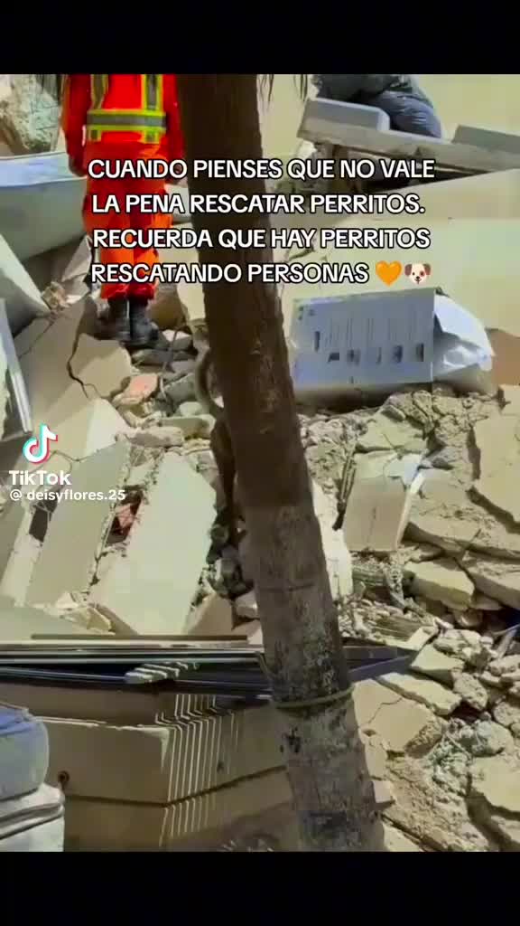 @Neisser chirinos