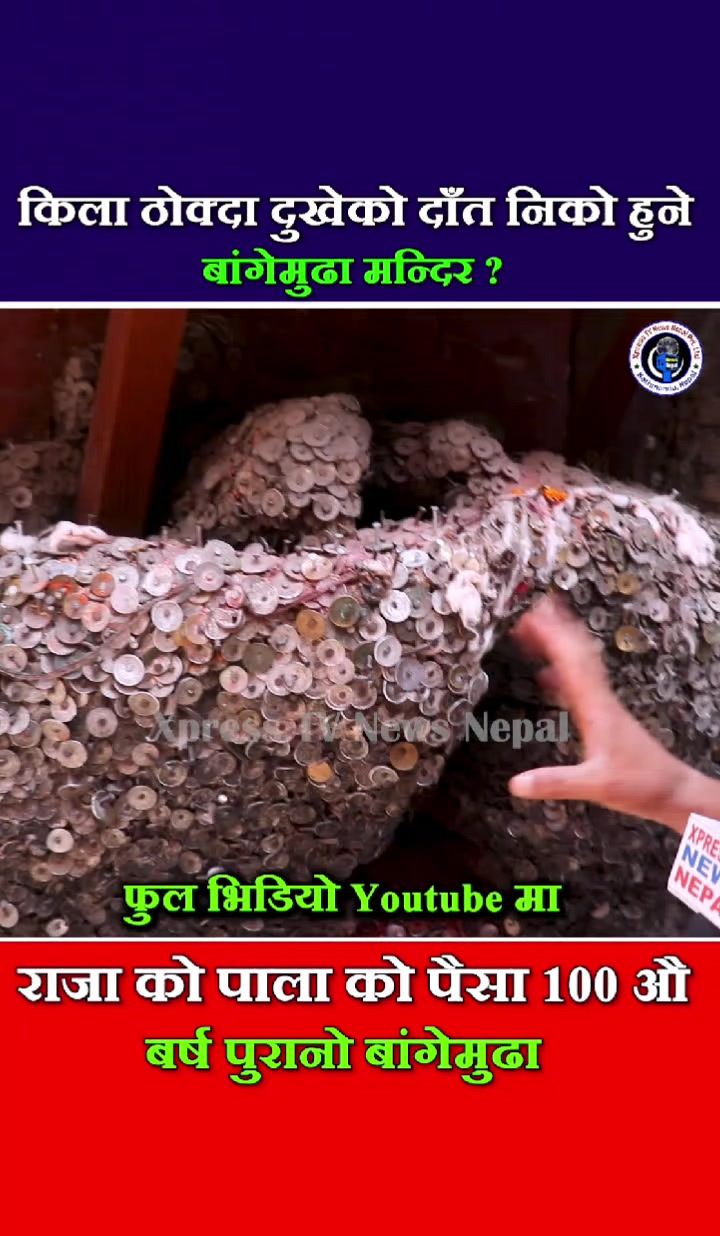@xpress tv news nepal