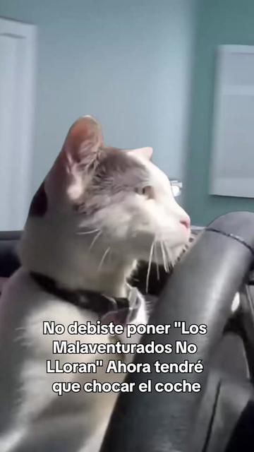 @PXNDX
