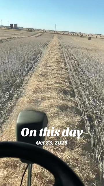 @bf48farmer