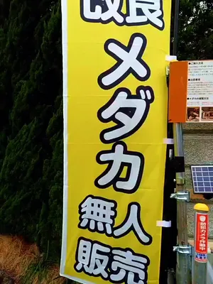 @gmmedaka.niigata