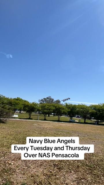 @babydoc311