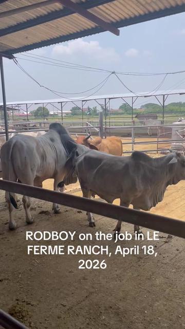 @ATTY. RAUL &ldquo;Kabaka&rdquo; LAMBINO