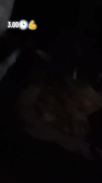 @𝗔l_i⚜️