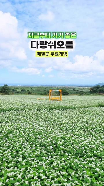 @제주도