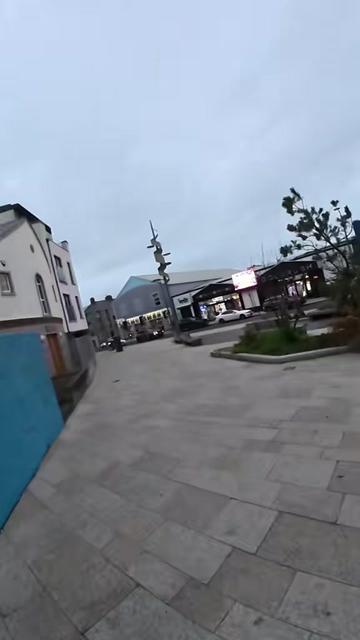 @Cadhan litter