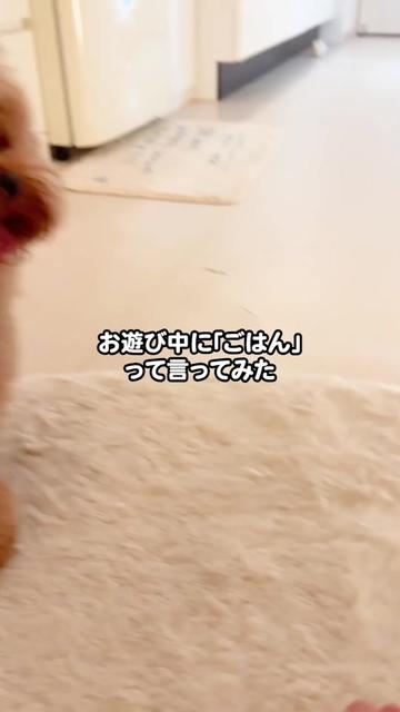 @ããð«ð§ž