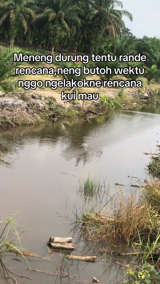 @rtk_lure