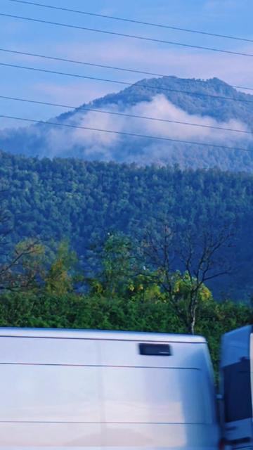 @Qəbələdə əmlak satışı