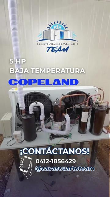 @cavascuartoteam