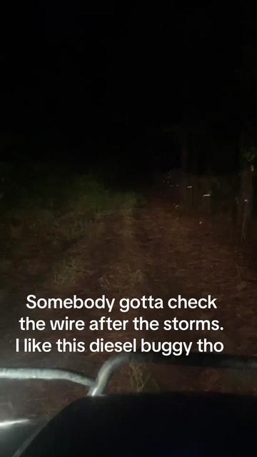@3DeepKennels
