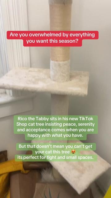 @Rae&rsquo;s TikTok Affiliate Journey