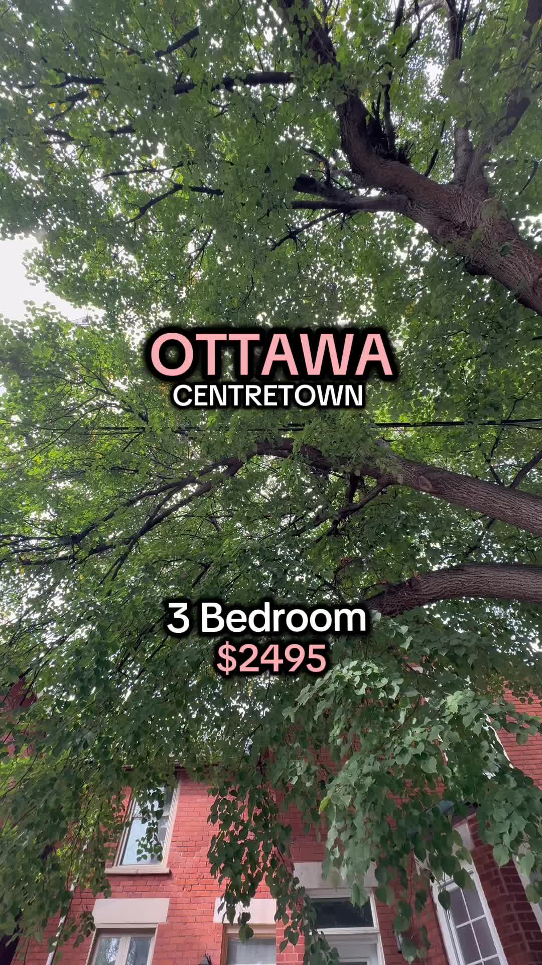 @🏡✨RENTALS IN OTTAWA