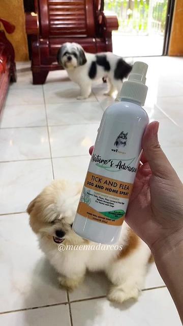 @MaeMadarcos