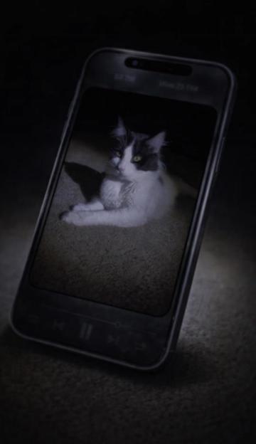 @☠️⚡ 𝑫𝒂𝒓𝒌 𝑺𝒐𝒖𝒍 ⚡☠️
