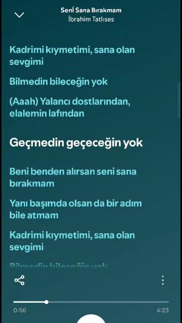 @iremmrck