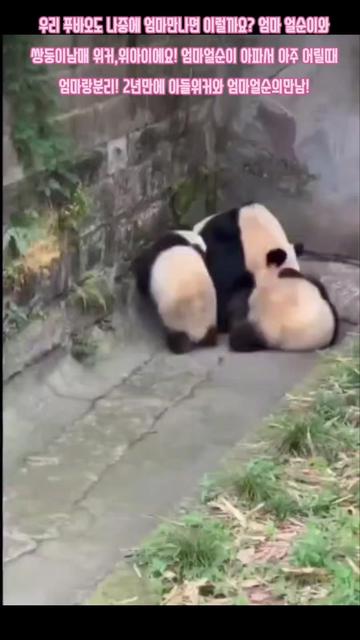 @반짝이는비니♡