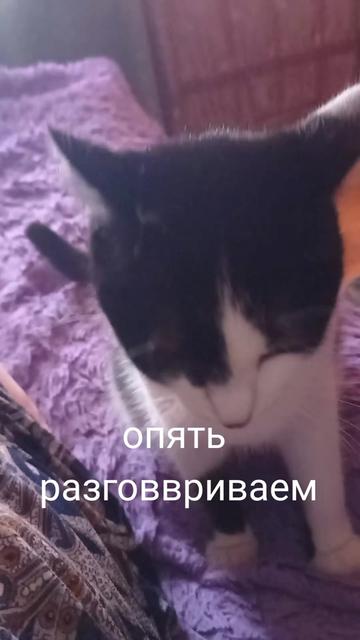 @УМКА