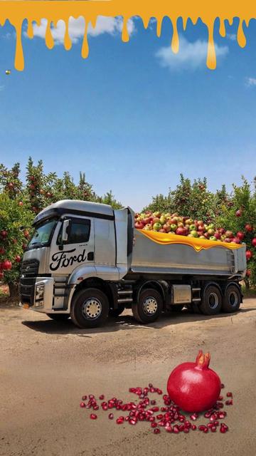 @DMC משאיות פורד