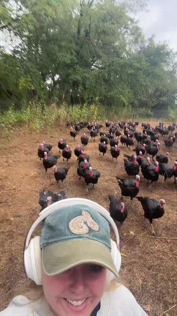 @farmerandtheharpiist