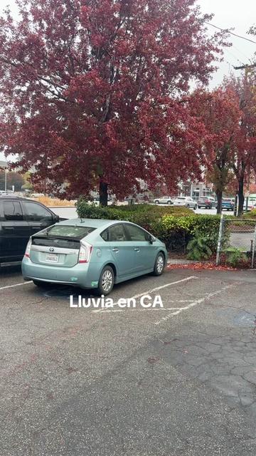 @vero350chiquita