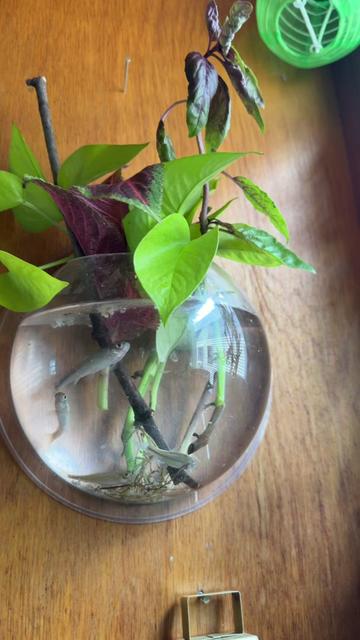 @Ani👸
