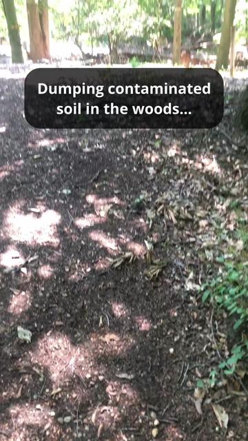 @Andrew The Arborist
