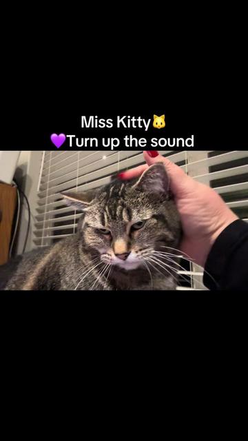 @Kelli 💜🤗