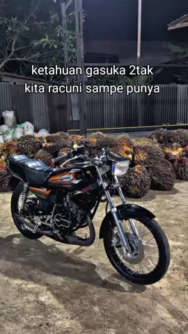 @𝙆𝙞𝙣𝙜_𝙜𝙚𝙖𝙧𝙥𝙞𝙨