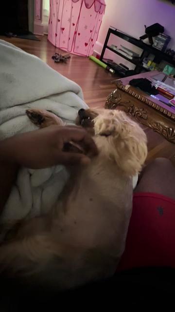 @Neisha