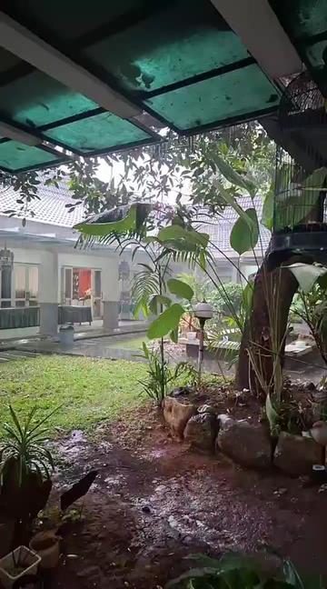 @Arief Rohman