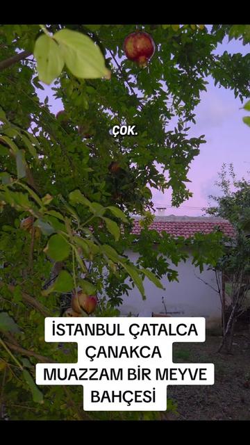 @Satılık K&ouml;y Evleri