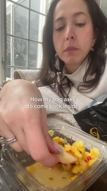 @Dr. T - Psychologist
