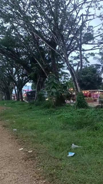 @CELEBES_BUSMKS