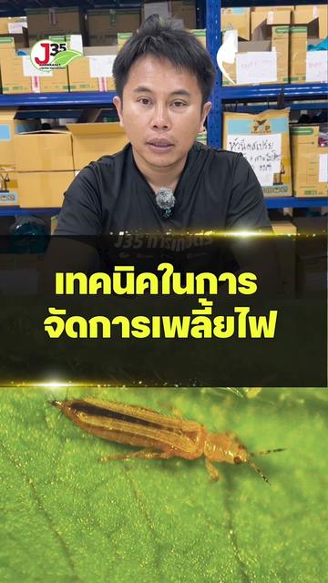 @โจ้ J35