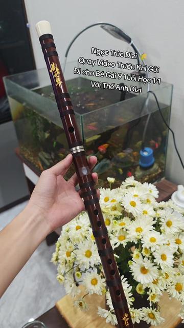 @Thế Anh Dizi