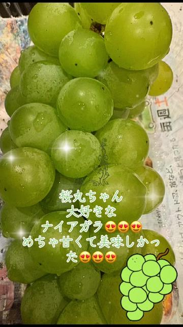 @🌸北のカリスマ桜丸🌸