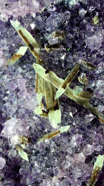 @Nesta • RIVER WALKERS MINERALS