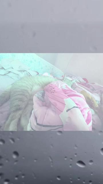 @munngii.