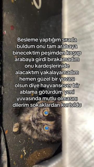 @yudummz_