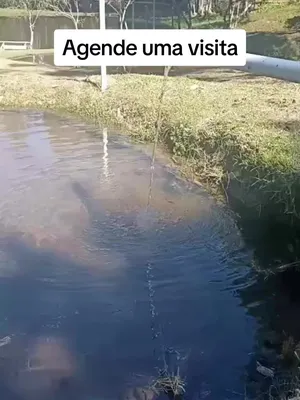 @CÁSSIA CORRETORA DE IMÓVEIS